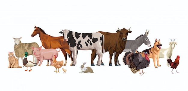 Вектор Группа животных фермы персонажей