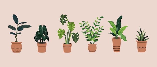 ベクトル 手描きのフラット鉢植え観葉植物のイラストのグループ