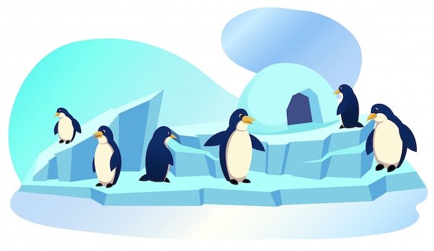 Group of penguins stand on ice floe with icehouse