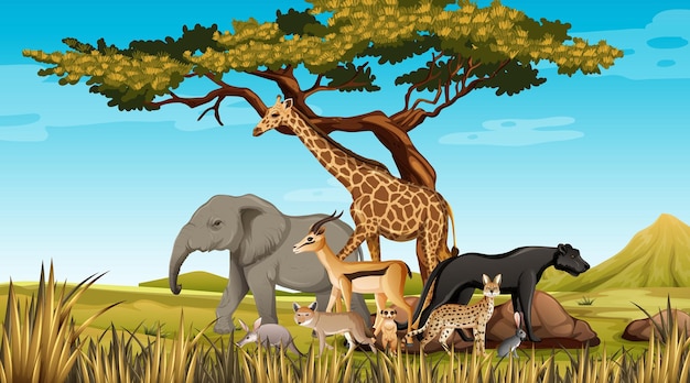 Group of Wild African Animal in the forest scene