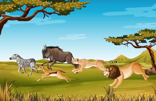 Vector group of wild african animal in the forest scene