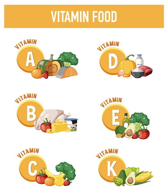 Vector grouped food with essential vitamins for optimal health