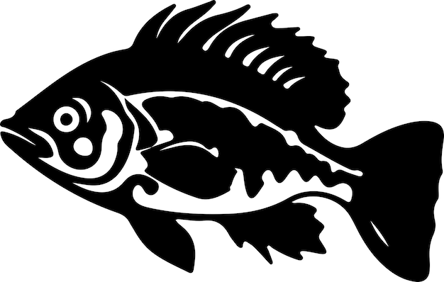 Vector grouper black silhouette with transparent background