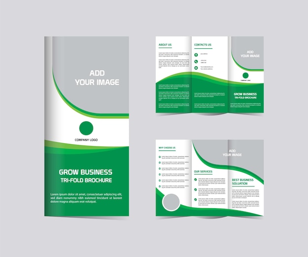 Vector grow business trifold brochure design tenplate