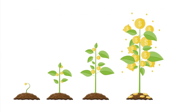 Вектор Растущее денежное дерево. этапы выращивания.