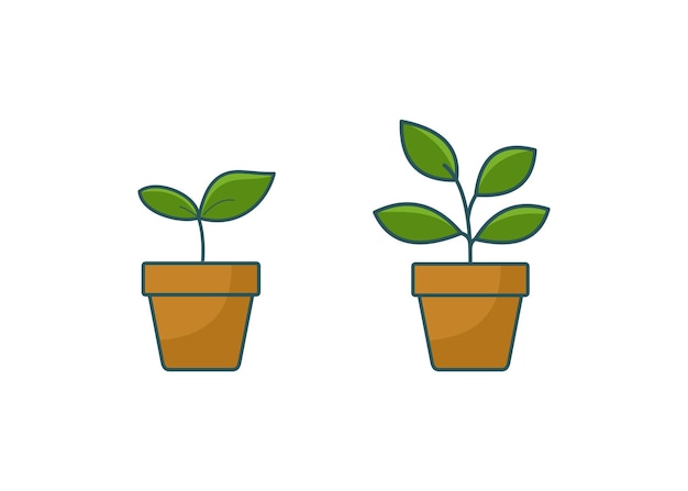 Vector growing plant vector illustration