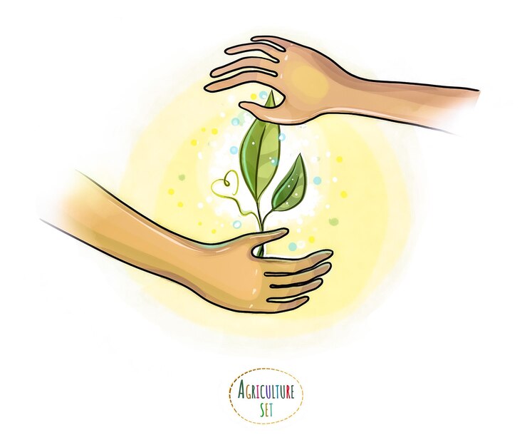 Vector growing plants caring for green shoots of flowers and vegetables ecology and healthy food