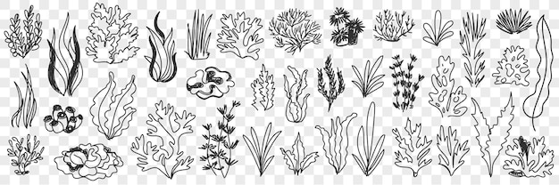 Growing plants silhouettes doodle set