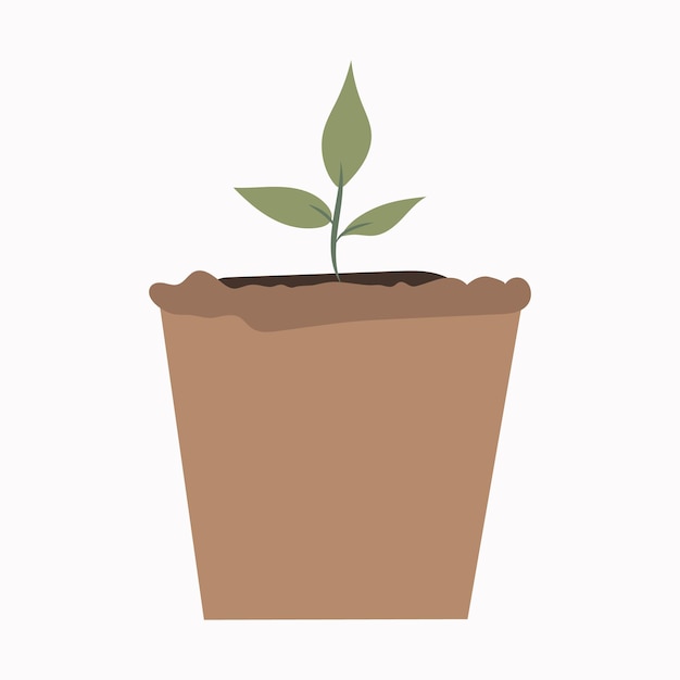 Growing seed of a tree with green leaves in a pot Young shoots rising from wellfertilized soil