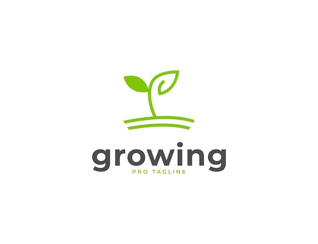 Vector growing seed with green leaves farm logo