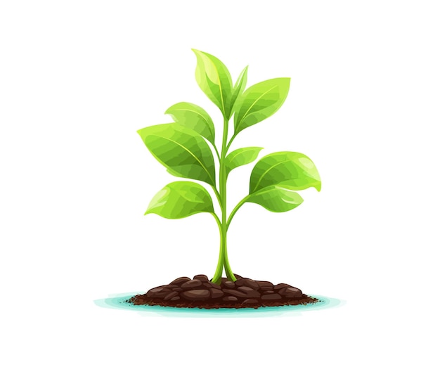 Growing sprout Vector illustration design