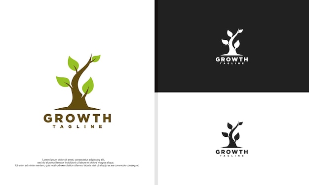Growth leaves logo design vector illustration
