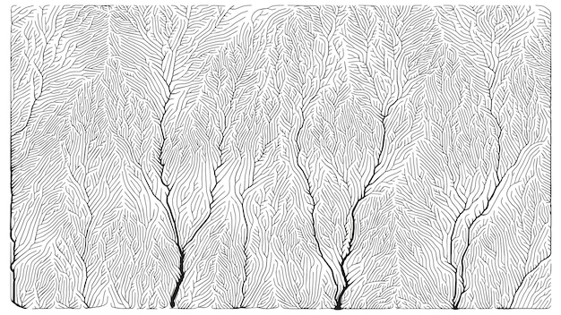 Growth pattern. generative branching structure.