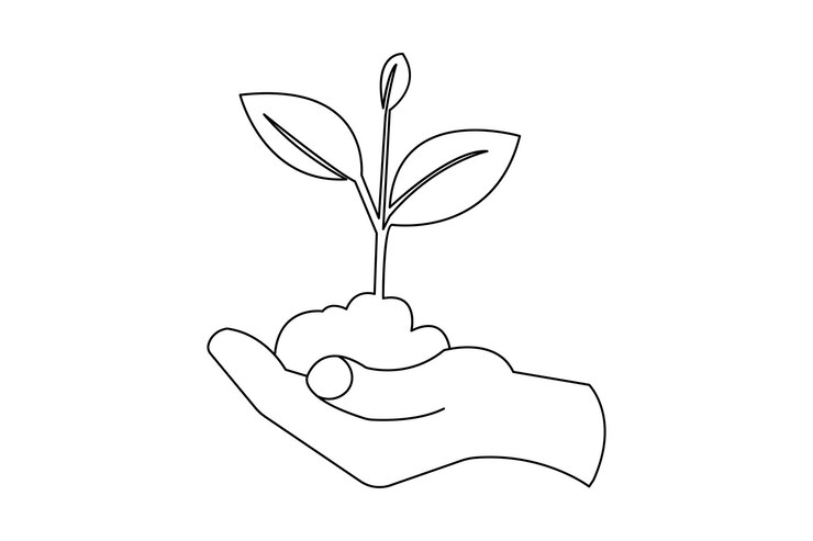 Vector 植物の成長を処理する 1 列の木の輪郭の平面ベクトルアイコンを描く