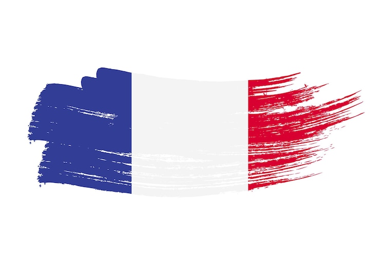 Vector grunge penseelstreek met nationale vlag aquarel schilderij vlag symbool poster banne van de nationale vlag stijl aquarel tekening vector geïsoleerd op witte achtergrond