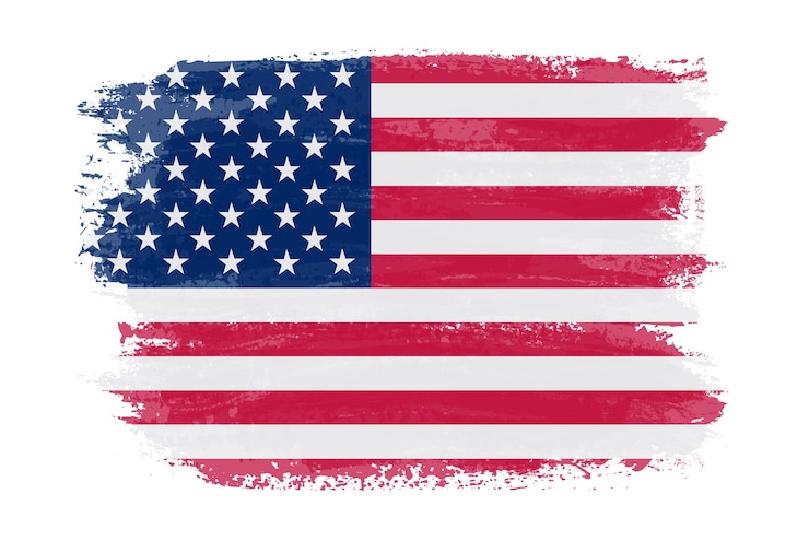 Vector grunge penseelstreek usa vlag