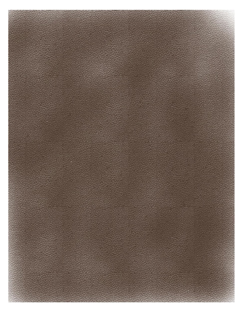 Vector grunge texture brown skin, isolated on white background. vector illustration. image tracing.