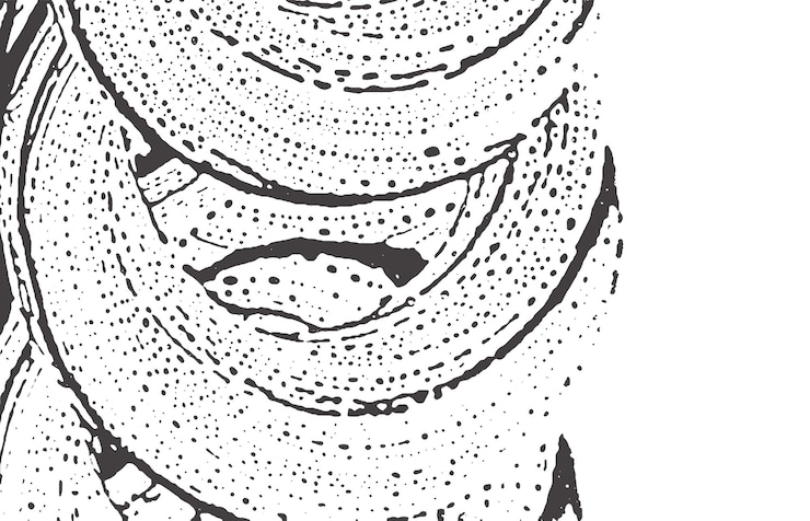 Vector grunge texture distress black grey rough trace a