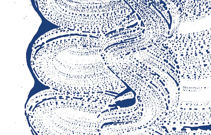 Vector grunge texture distress indigo rough trace divin