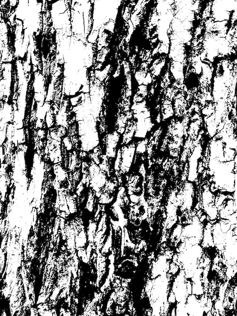 Grunge tree bark texture