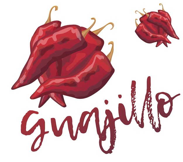 guajillo chili vector illustration hot pepper cartoon icon isolated on white background chile