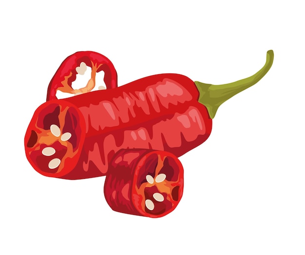 Vector guajillo chilli hot vegetable icon