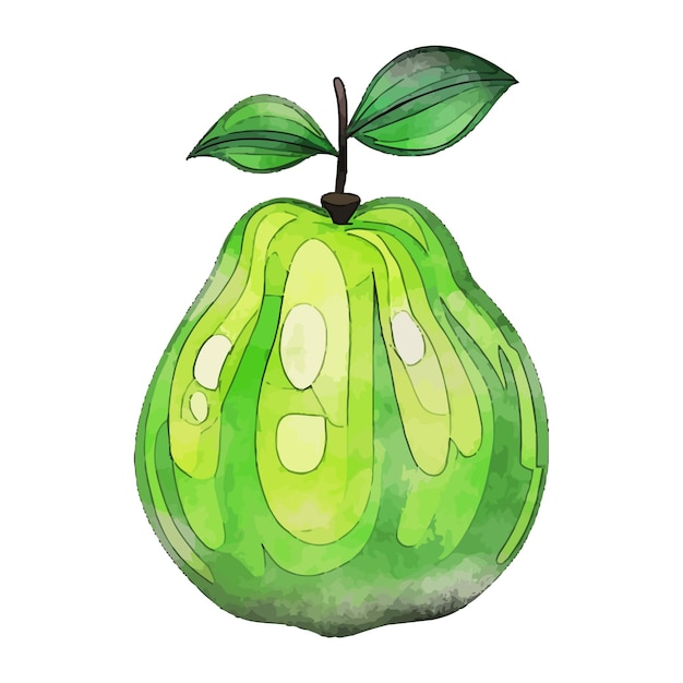 Guava aquarel vector illustratie