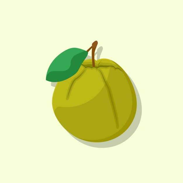 Guava fruit realistic food vector