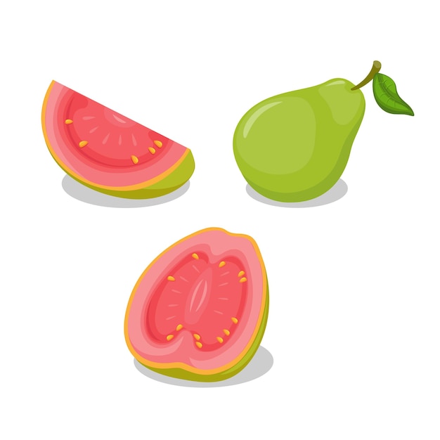 Набор векторных иллюстраций набора фруктов гуавы целиком и ломтиками