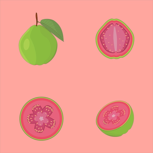 Vector guava set