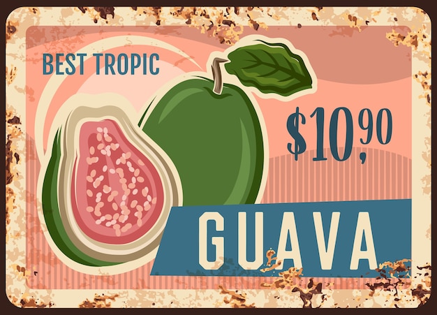 Guava tropical fruit rusty metal signboard of fresh farm food.