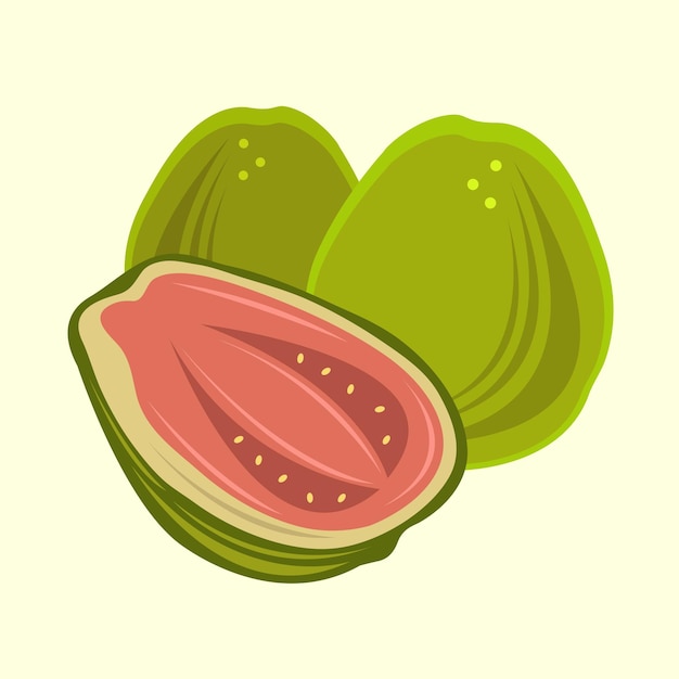 Guava vector illustration