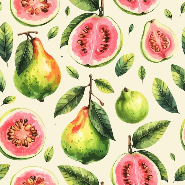 Guava with leaves seamless pattern Vector watercolor exotic fruits background