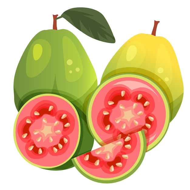 guava 