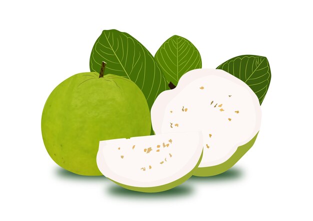 guava