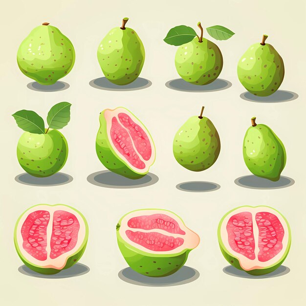 Vector guava