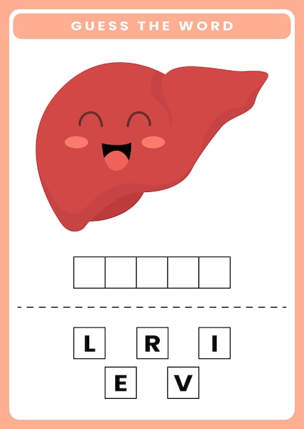 벡터 아이들을 위한 귀여운 만화 인체 해부학 및 장기 워크시트의 단어를 맞춰보세요