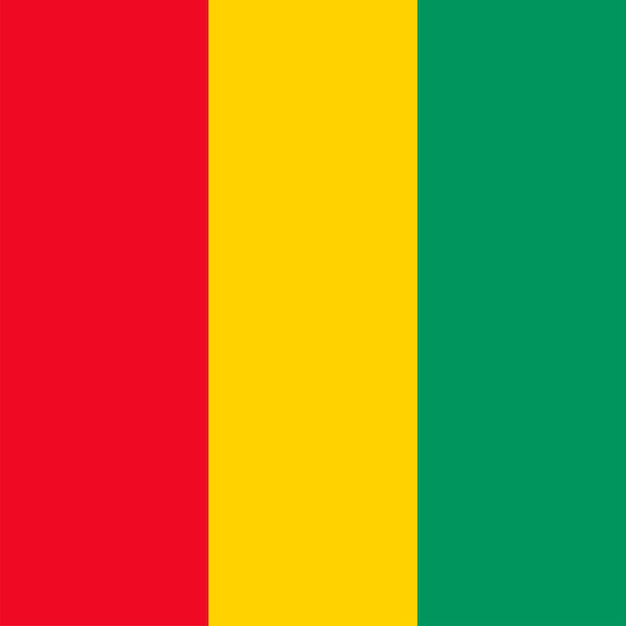 Официальные цвета флага гвинеи векторная иллюстрация