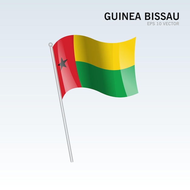 Guinea waving flag isolated on gray