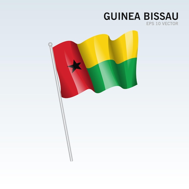 Bandiera sventolante della guinea isolata su gray