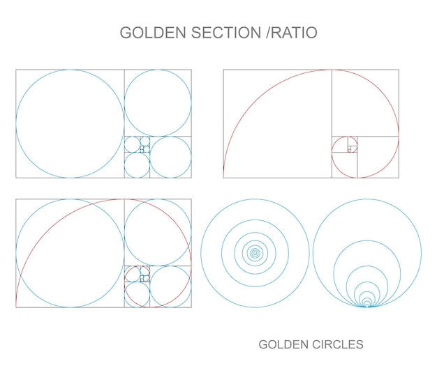 Gulden Snede Verhouding Gouden Cirkels Vector Tekening