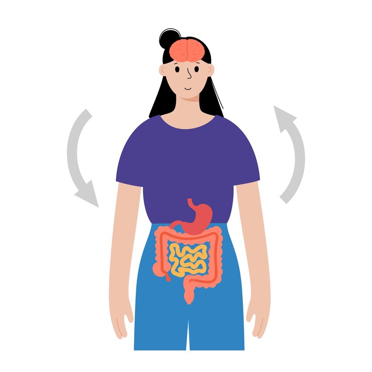 Vector gut brain connection and microbiome concept. enteric nervous system in human body