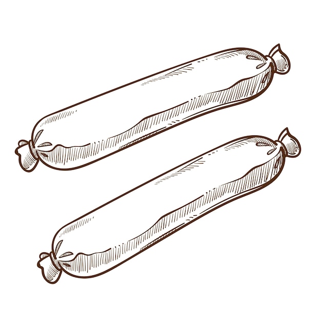 Vector gut sausages or frankfurters isolated sketch meat food