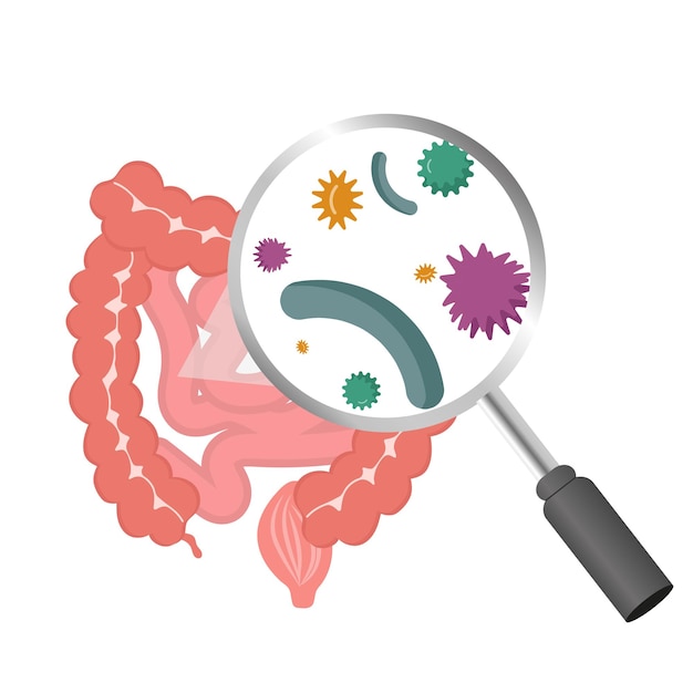 Gutbrain as verbinding braingut bacteriën