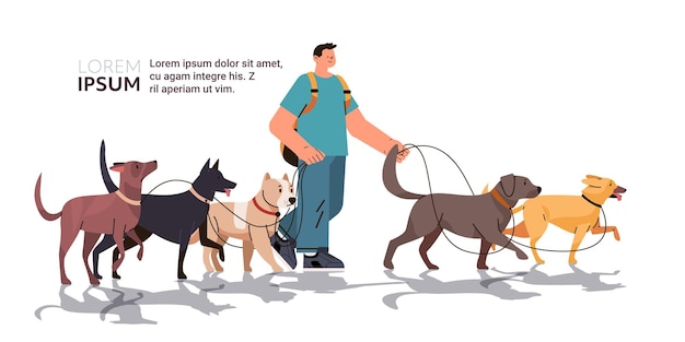 guy dog handler walks with pets best friends domestic animals walking service volunteering pet care concept copy space horizontal vector illustration