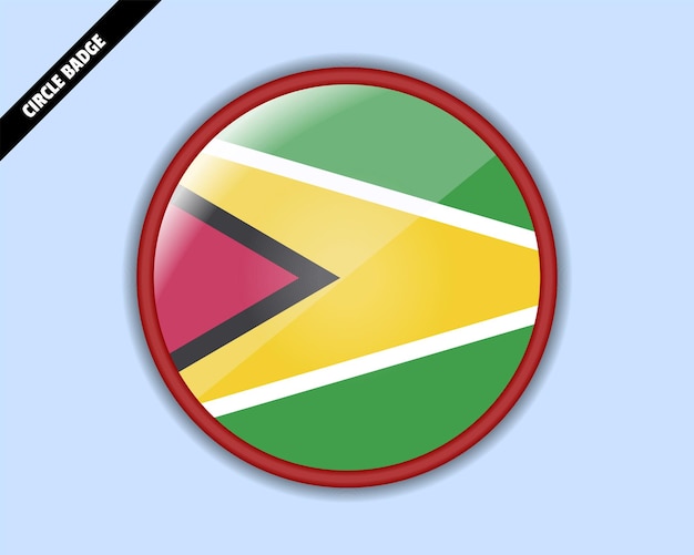 Guyana flag circle badge vector design rounded sign with reflection