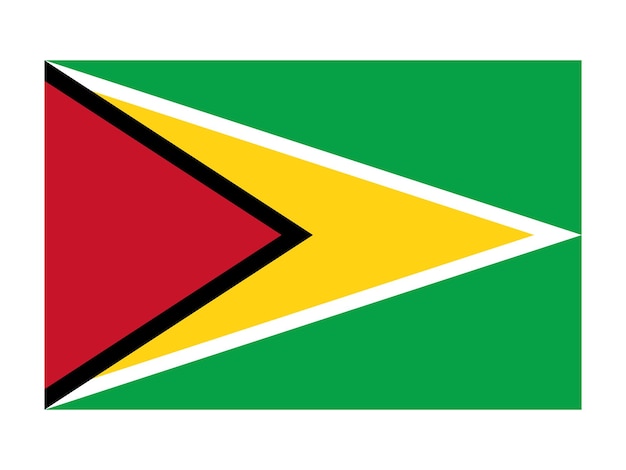 Bandiera della guyana icona della bandiera internazionale segni ufficiali del paese bandiera ufficiale del paese