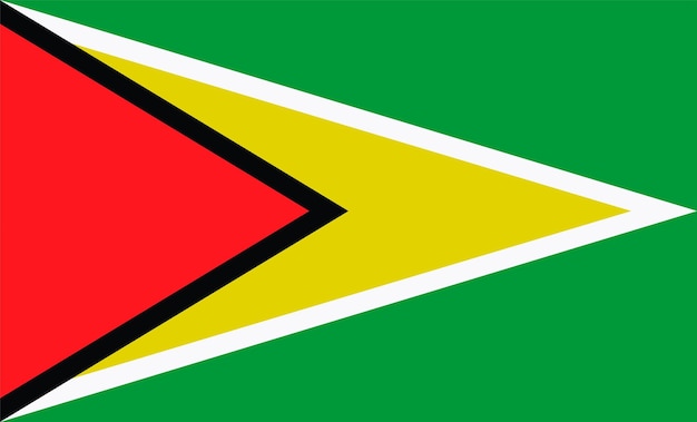 Guyana Vlag Ontwerp Illustraties Vectoren