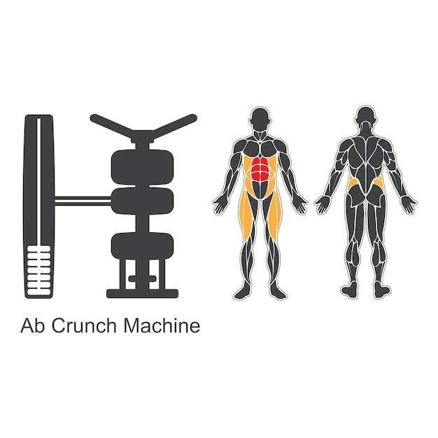 Gym ab crunch-machine