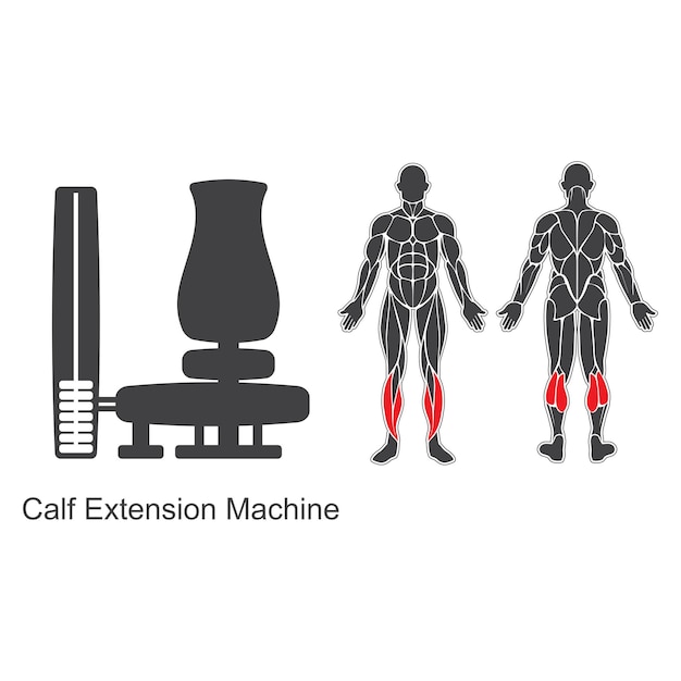 Gym calf extension machine